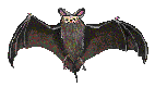 [It's a bat!]